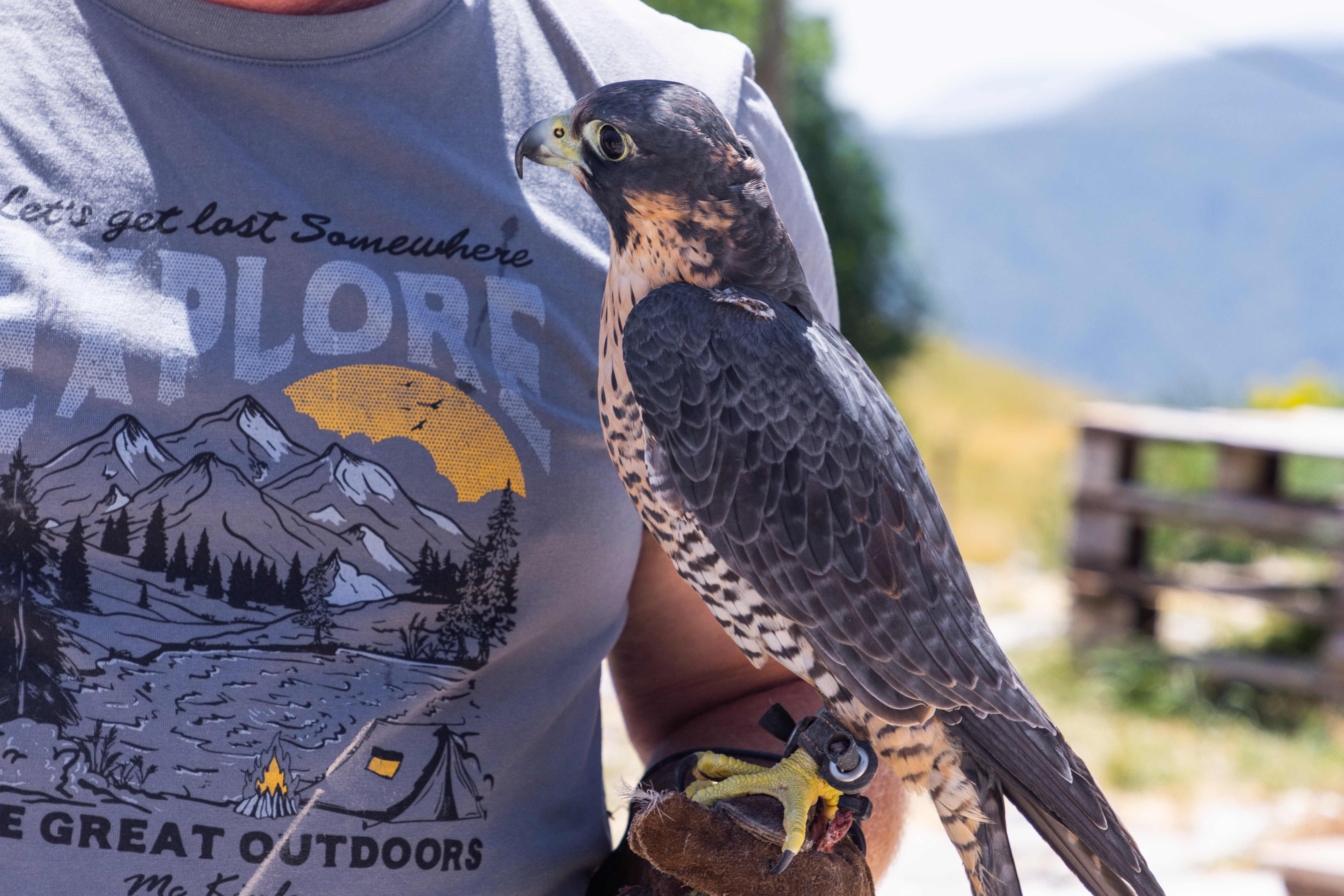 Quad adventure on Bjelašnica mountain